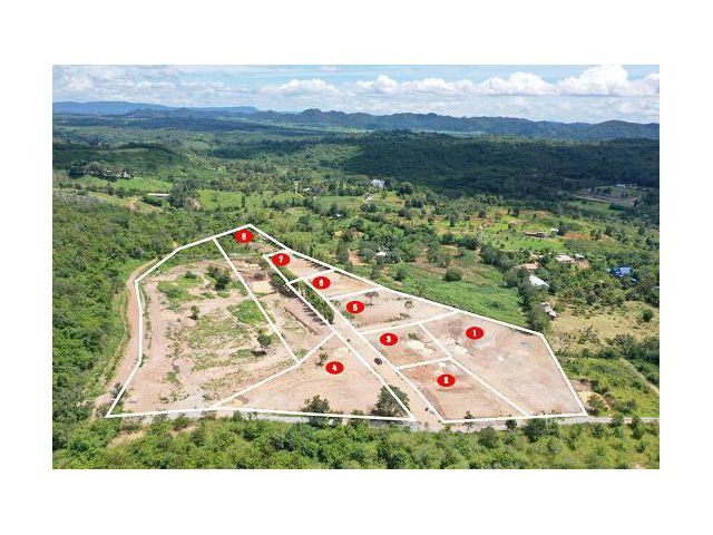 ขายที่ดินเขาใหญ่ ปากช่อง ที่ดินวิวเขาล้อมรอบ ใจกลางเขาใหญ่