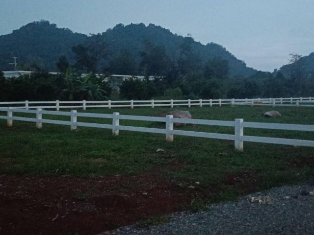 ขายที่ดินเขาใหญ่ 200 ตรว.โครงการคลองม่วงฮิลล์ ที่ดินแปลงเล็กๆๆ วิวเขาล้อมรอบ