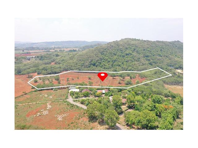 ขายที่ดินเขาใหญ่ ปากช่อง วิวเขา ใกล้7-Elevenเพีบง 4 กม. จ.นครราชสีมา คุณโอ๋ 098-097-8715