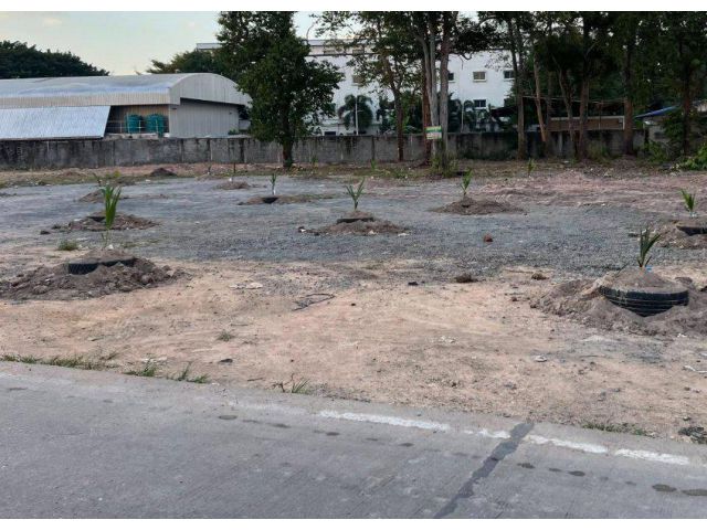 ขายที่ดินบึง หนองแขวะ 2 ไร่ ถมแล้วติดวิทยาลังเทคโนโลยีทางทะเล ใกล้ท่าเรือแหลมฉบัง-10กม. อ.ศรีราชา ชลบุรี