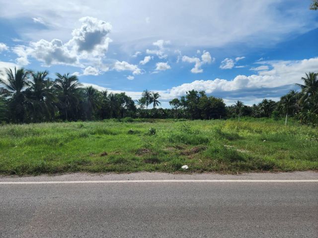 L1137 ขายที่ดินทำเลดี 2 ไร่ อัมพวา สมุทรสงคราม