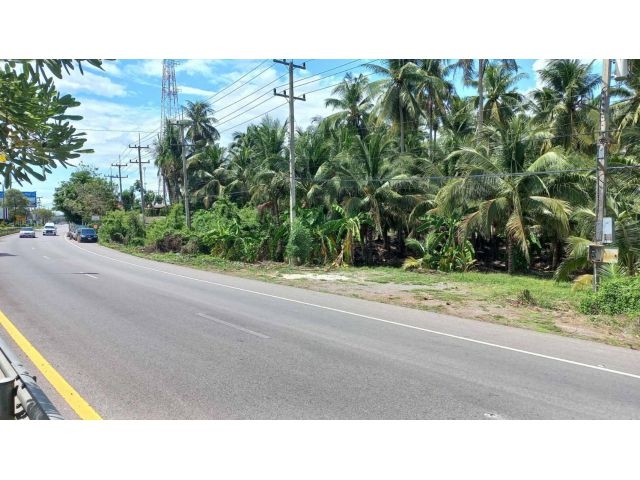ขายที่ดินสมุทรสงคราม เดินทางสะดวก ติดถนนทางหลวงหมายเลข 325 คุณโอ๋ 098-097-8715
