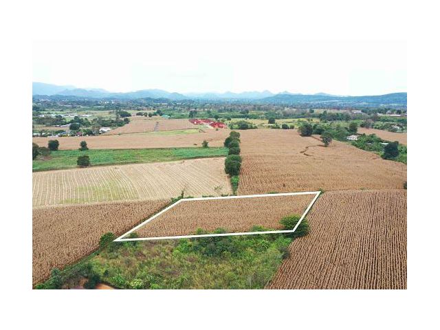 ขายที่ดินเขาใหญ่ เขาใหญ่ปากช่อง วิวภูเขามองเห็นทอสกาน่า บ้านคลองปูน คุณโอ๋ 098-097-8715