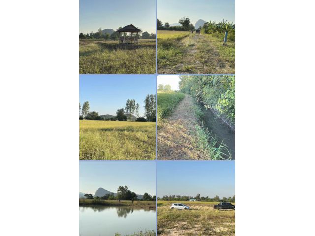 ที่ดินเปล่าวิวนาวิวเขา