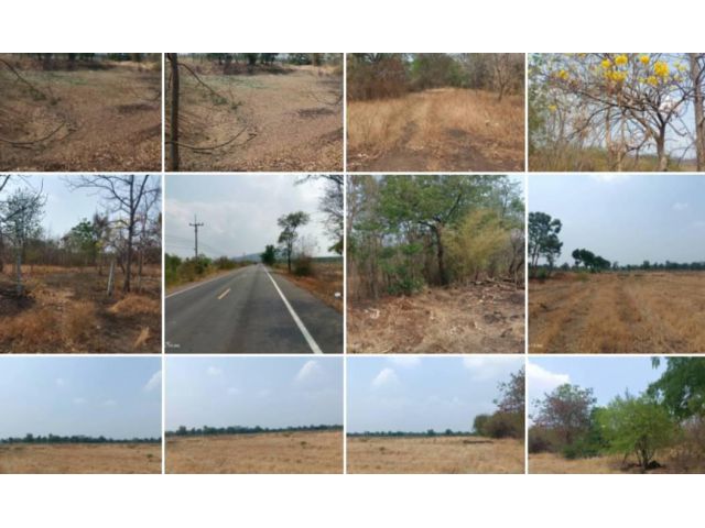 ขายที่ดินฉโนด26ไร่พร้อมโอนติดถนนลาดยางมีไฟฟ้าหน้าที่พืันที่ใกล้สิ่งอำนวยความสะดวกใกล้ชุมชน