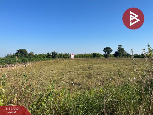 ขายที่ดินแปลงสวย เนื้อที่ 6 ไร่ 36.1 ตารางวา ห้วยกระเจา กาญจนบุรี ติดถนน ทำเลดี