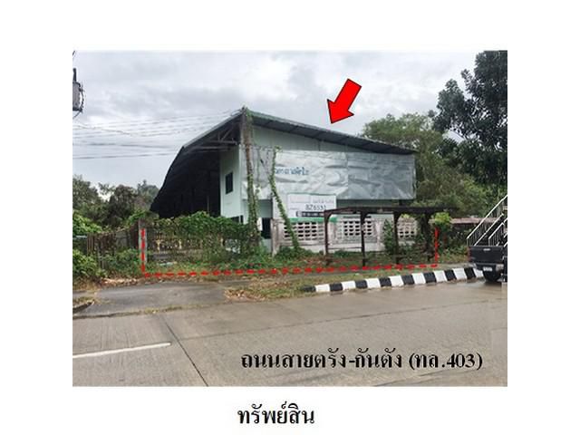 ขายโกดัง ถนน ตรัง-กันตัง ตำบล บางเป้า อำเภอ กันตัง จังหวัด ตรัง
