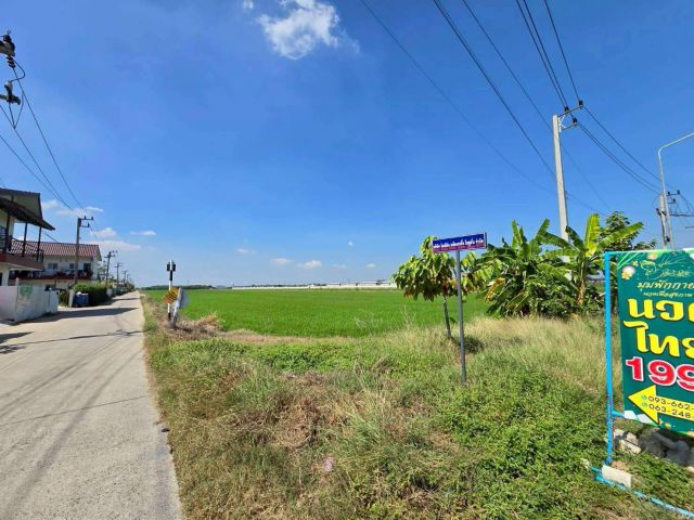 ขายด่วนที่ดินคลองหก 200 ตรว ใกล้วัดเกตุประภา ซ.ลำลูกกา 97 อ.ลำลูกกา จ.ปทุมธานี
