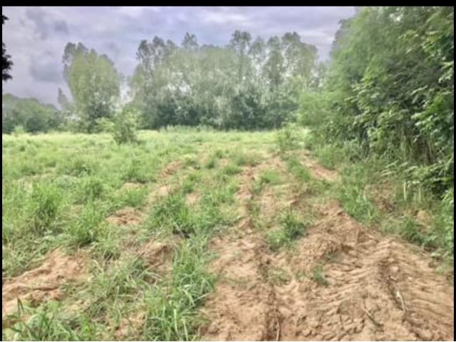 ที่ดินเมืองนครราชสีมา สีคิ้ว โคราช สีชมพู ห่างถนนมิตรภาพ 400 ม.