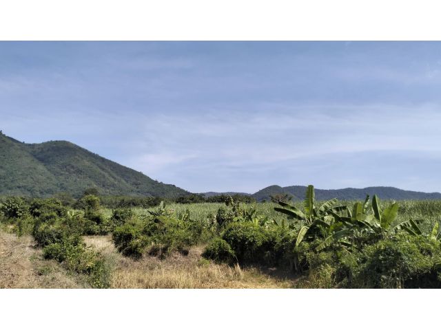 ขายที่ดินโฉนด 15 ไร่ 1 งาน อ.เชียงคาน จ.เลย