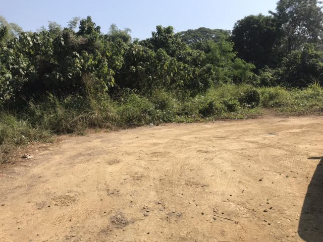 L275-ขายที่ดินเปล่า 114 ตรว. (ติดน้ำปิง ต.ป่าแดด อ.เมืองเชียงใหม่ จ.เชียงใหม่)