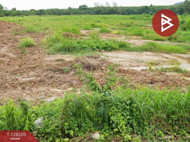 ขายที่ดิน เนื้อที่ 16 ไร่ 3 งาน 80.5 ตร.วา แกลง ระยอง