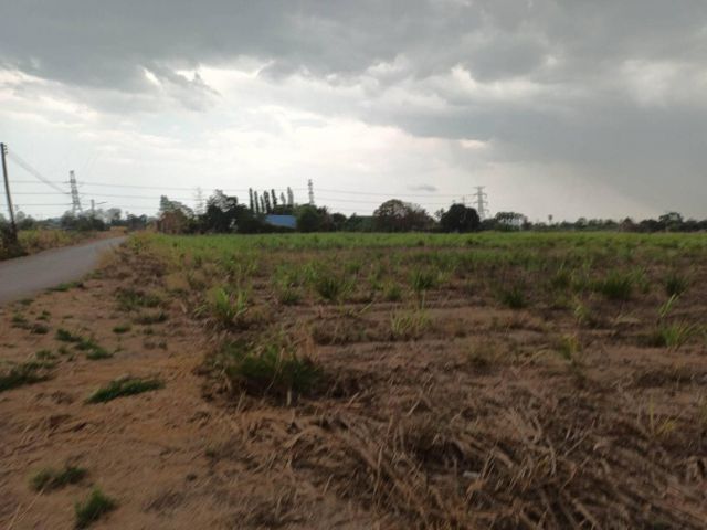 L1144 ขายที่ดินวิวภูเขา 15 ไร่ ปากท่อ ราชบุรี