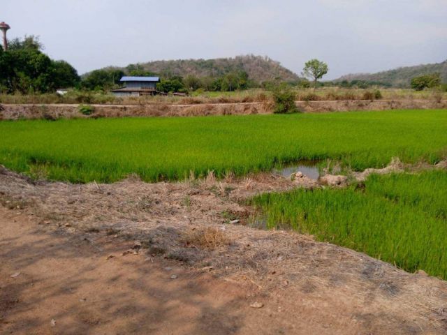 ขายด่วน!!!!! ที่ดินแปลงเล็กโฉนด 1-3-91 ไร่ ติดน้ำ วิวภูเขาล้อมรอบที่ ต.ชำผักแพว อ.แก่งคอย จ.สระบุรี ไร่ละ 500,000.-