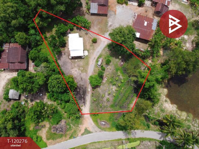 ขายที่ดิน เนื้อที่ 1 ไร่ 1 งาน 86 ตร.วา วัดสิงห์ ชัยนาท