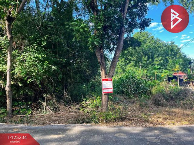 ขายที่ดิน เนื้อที่ 14 ไร่ 1 งาน 74 ตร.วา หันคา ชัยนาท