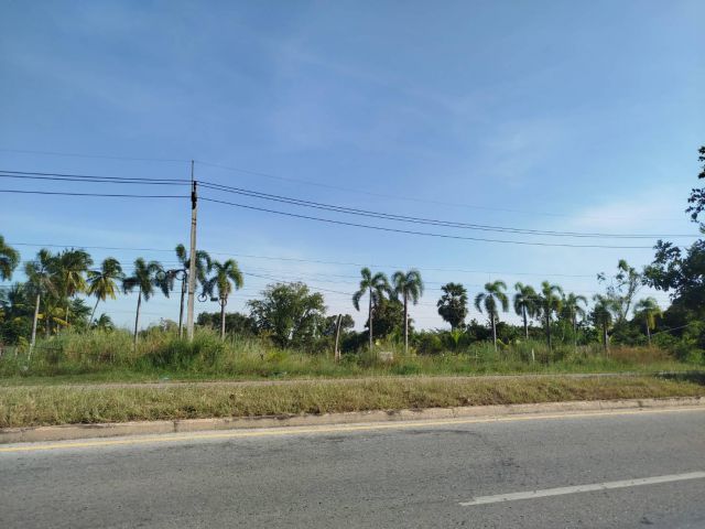 ขายที่ดินติดถนนหลักสมเด็จ-กาฬสินธุ์ 14ไร่ๆละ 800,000หน้ากว้าง100เมตร