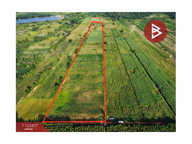 ขายที่ดิน เนื้อที่ 41 ไร่ 2 งาน 30 ตารางวา หันคา ชัยนาท