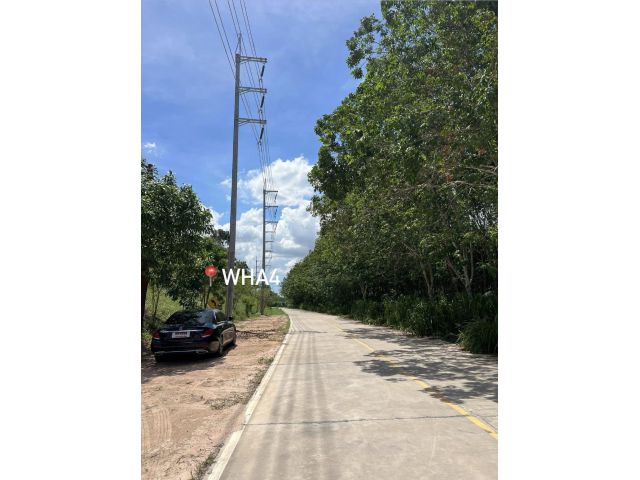 ขายที่ดินแม่น้ำคู้ 31 ไร่ ติดถนนคอนกรีต ติดนิคมWHA4 ใกล้แยกพวงมาลัยถนนเส้น3191-2กม. อ.ปลวกแดง ระยอง