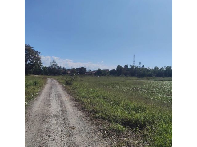 ด่วนที่สุด ขายที่ดินสำหรับปลูกบ้าน จำนวน 14 ไร่ 2 งาน 10 ตารางวา