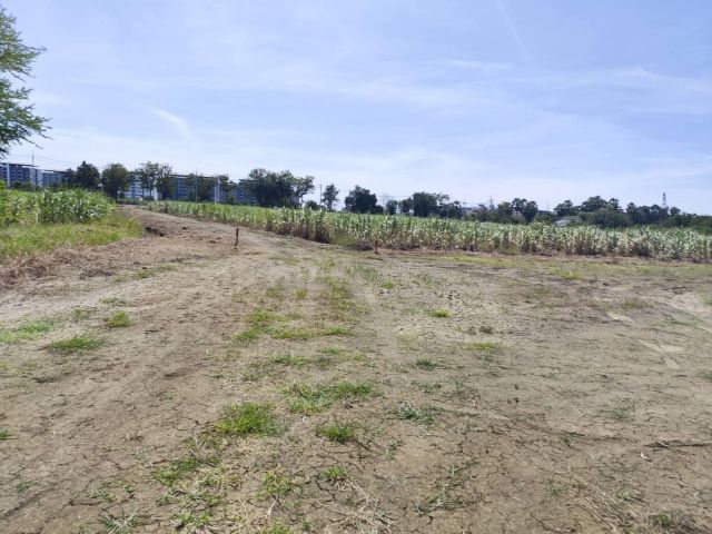 ที่ดินเปล่า มีแหล่งน้ำใสสองบ่อ เนื้อที่แบ่งขายได้  แบ่งได้ 200 ตรวขึ้นไป Sale land Nakhon Pathom nice view