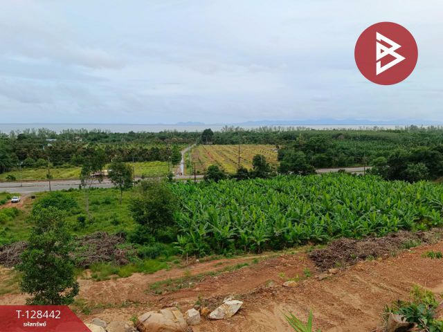 ขายที่ดิน เนื้อที่ 9 ไร่ 2 งาน 87 ตร.วา แหลมกลัด ตราด