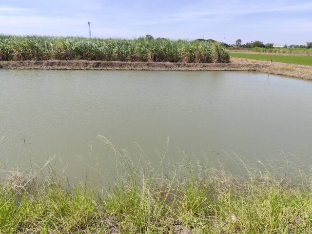 ขายที่ดินเปล่า แปลง 1-9 ไร่แปลงสวย อากาศดี มีบ่อน้ำใส แบ่งได้ ที่ใกล้หอพัก นกฮูกเก้า ม. เกษตร กำแพงแสน นครปฐม