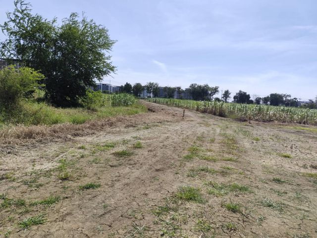 ขายที่ดินเปล่า แปลงธรรมชาติ ท่ามกลางไร่อ้อย ใกล้ มหาวิทยาลัย เกษตรศาสตร์ วิทยาเขตกำแพงแสน นครปฐม ทำเล เงียบสงบแต่ไม่วุ่น