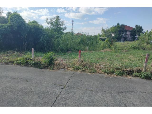 ขายที่ดิน 57.5 ตรว. ติดถนนหน้าหมู่บ้านโดมทอง อ.เมืองปทุมธานี