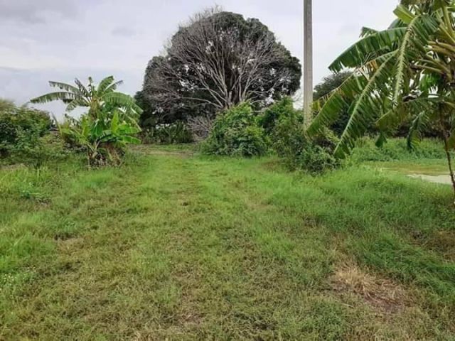 L1149 ขายที่ดินถมแล้ว 5 ไร่ พนัสนิคม ชลบุรี