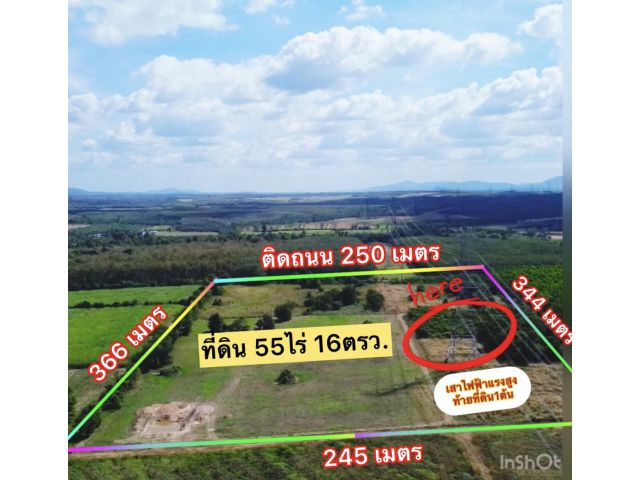 ที่ดินหนองใหญ่ใกล้นิคมเอเชียคลีน 55ไร่ 16ตรว.ไร่ละ 9แสน ต.ห้างสูง อ.หนองใหญ่ จ.ชลบุรี  ที่ดินแปลงสี่เหลี่ยมสวยกว้าง 250m