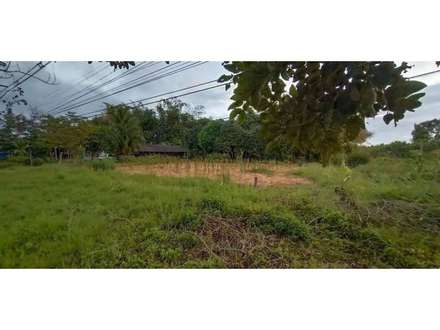 L1151 ขายที่ดินสวยทำเลดี 1 ไร่ บ่อทอง ชลบุรี