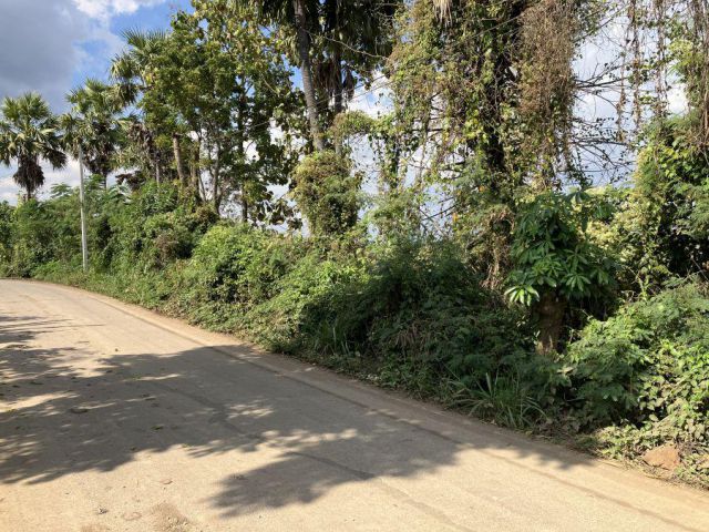 ขายที่ดิน เหมืองกอก นาคตแพะ ป่าตัน แม่ทะ ลำปาง