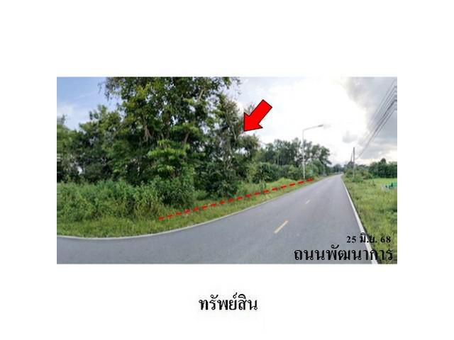 ที่ดินว่างเปล่า ต.นาทราย อ.เมืองนครศรีธรรมราช จ.นครศรีธรรมราช