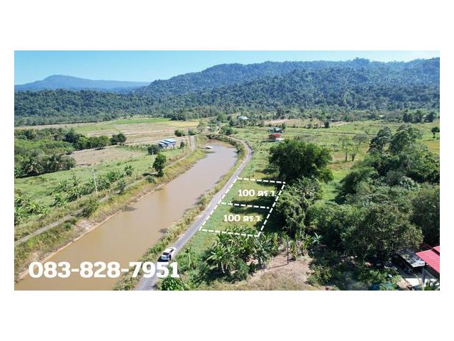 ขายดิน 100 ตารางวา มีโฉนด ถมแล้ว ด้านหน้าคลองน้ำใหญ่ วิวเขาสวย