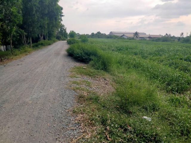 ขายที่ดิน19ไร่ ไร่ละ290000-ติดถนนหินคลุก+คลองมะดัน อ.สองพี่น้อง จ.สุพรรฯ เหมาะทำบ้านพัก/สวนใก้ลอ.สองพี่น้อง+วัดอัมพวันน้ำไม่ท่วม