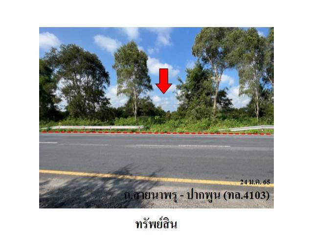 ขายที่ดิน ต.นาสาร อ.พระพรหม จ.นครศรีธรรมราช