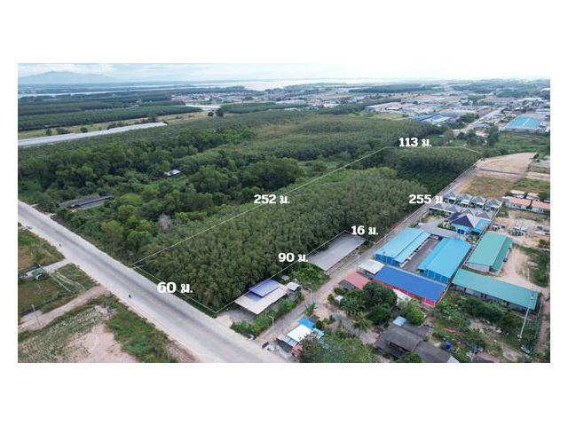 ขายที่ดิน 15 ไร่ 13 ตร.ว. หน้ากว้าง 60 ม. ติดถนนแม่น้ำคู้ซอย 4 เจ้าของขายเอง ผังสีเหลืองอ่อน