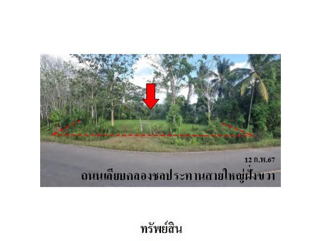 ขายที่ดินว่างเปล่า ต.ละมอ อ.นาโยง จ.ตรัง