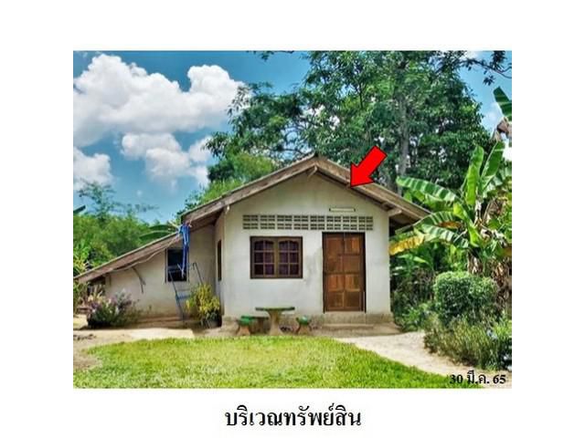 ขายบ้านเดี่ยว ถ.สายตรัง-กันตัง ต.บางเป้า อ.กันตัง จ.ตรัง