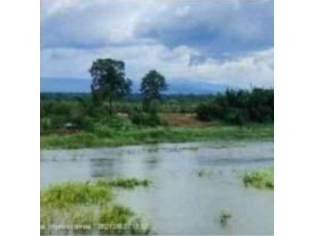 ที่ดินเปล่าติดน้ำปิง อำเภอจอมทอง เชียงใหม่ 4 ไร่กว่า วิวสวย บรรยากาศดี