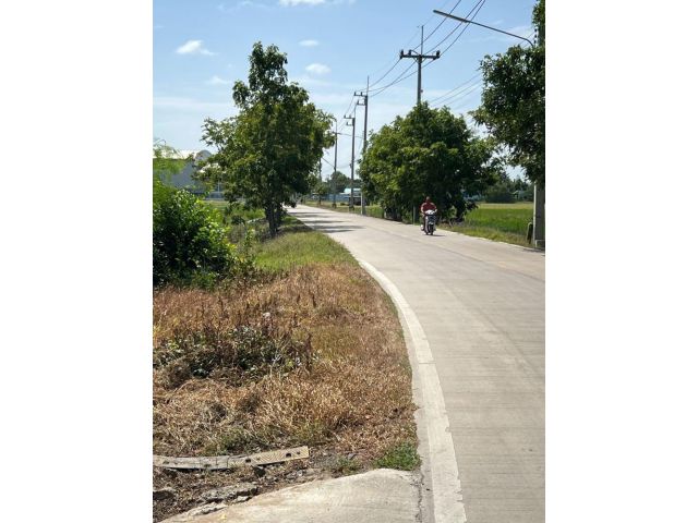 ขายที่ดินถมแล้ว 247 ตรว. ติดถนนคอนกรีต ถ.เลียบคลองบางโพธิ์ใต้ ปากซอยทับทิมแลนด์ 2 หมู่ 7 ปทุมธานี
