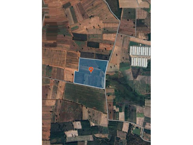 ขายที่ดินตำบลลุงเขว้าหนองบุญมากจังหวัดนครราชสีมา พื้นที่ 105-0-90ไร่