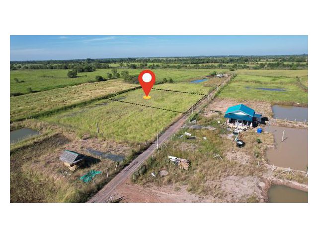 ขายที่ดิน 1 ไร่ ขาย 6 แสนบาท มีโฉนด ถนนกว้าง 3 ม. มีไฟฟ้า ประปา