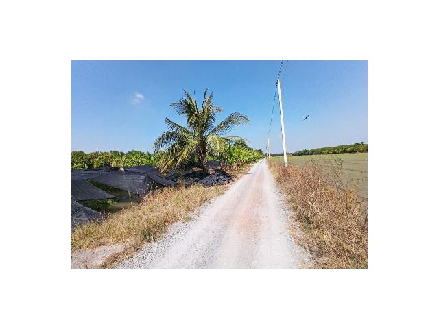 ขายด่วน!!!ที่ดินเขตคลองโยง ราคาถูก ติดถนน ติดคลองสาธารณะ ใกล้ชุมชนชน เนื้อที่ 1ไร่ อากาศดี เหมาะปลูกบ้านทำเกษตรพอเพียง