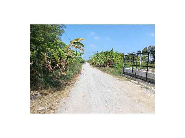 ขายที่ดินเขตคลองโยง แปลงสวย ติดถนนสาธารณะ ใกล้ ศาลายา ใกล้ชุมชน เนื้อที่ 390 ตรว. เหมาะปลูกบ้านทำธุรกิจจัดสรร