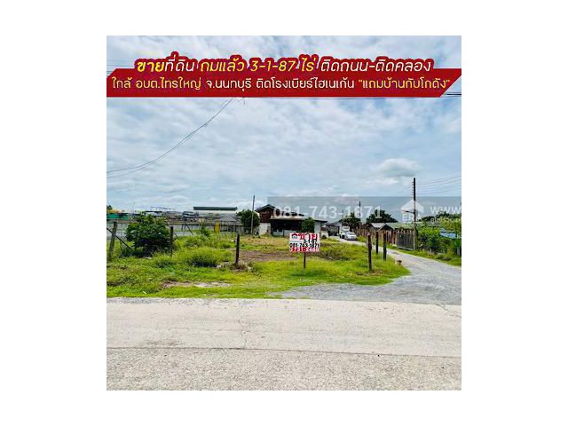 ขายที่ดิน ใกล้ อบต.ไทรใหญ่ อ.ไทรน้อย จ.นนทบุรี พื้นที่ 3-1-87 ไร่ ถมแล้ว ทำเลดี ติดถนน-ติดคลอง ติดโรงเบียร์ไฮเนเก้น แถมบ