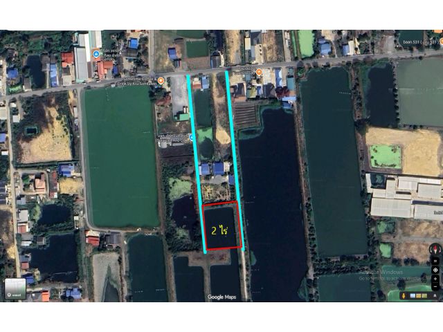 ขายที่ดิน 2 ไร่(บ่อกุ้งลึก2เมตร)) หน้ากว้าง 63 เมตร ติดถนน2 ด้าน ต.ถนนขาด