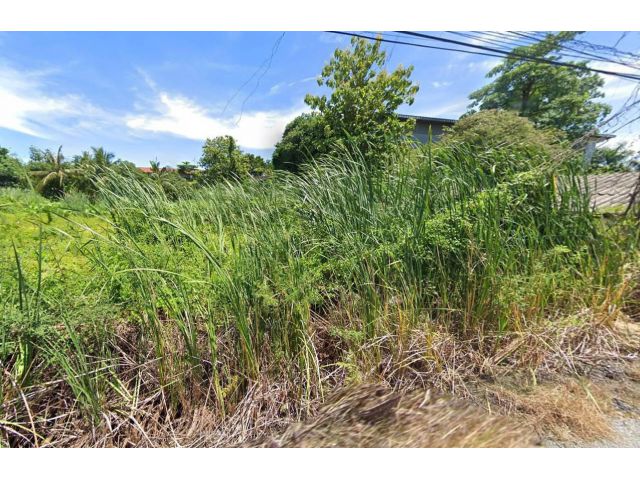 ขายที่ดิน96 ตรว. ซอยหมอศรี18