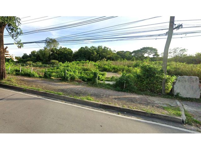 ขายที่ดิน 12 ไร่ คลองสอง ถนนลำลูกกา อ.ลำลูกกา จ.ปทุมธานี